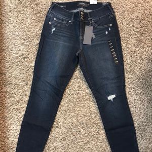 Torrid Premium Stretch Jeggings